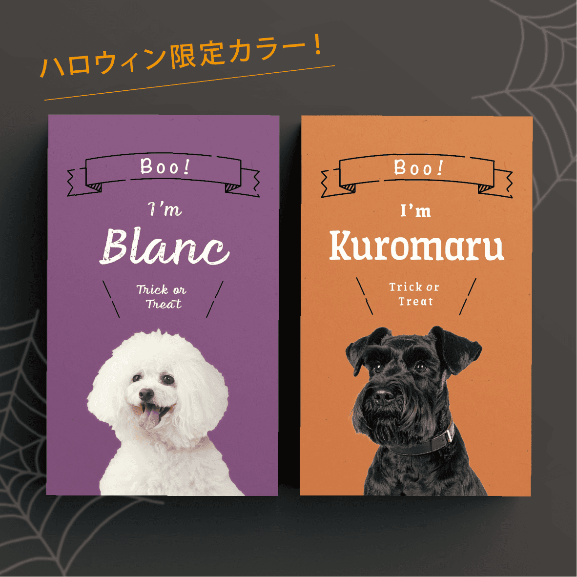 ハロウィン限定カラー！　うちの子・ペット名刺セミオーダー　単頭向け両面100枚（モノトーン縦）